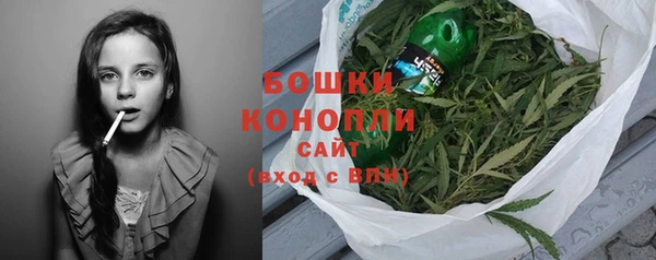 дживик Гусев