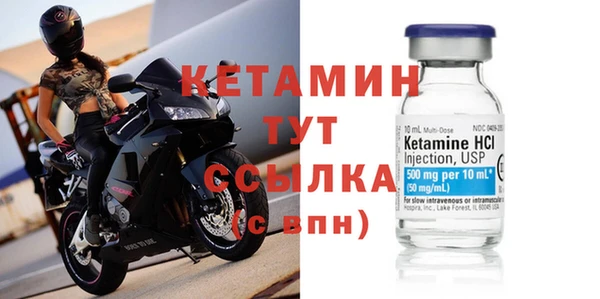 шишки Дмитриев