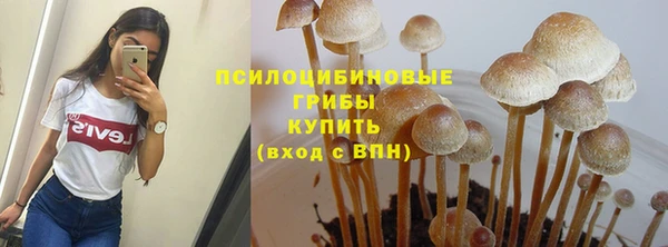 MDMA Premium VHQ Гусиноозёрск