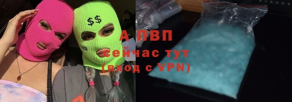 дживик Гусев