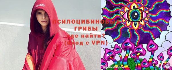 дживик Гусев