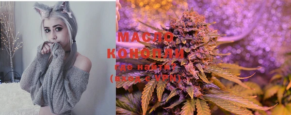 дживик Гусев