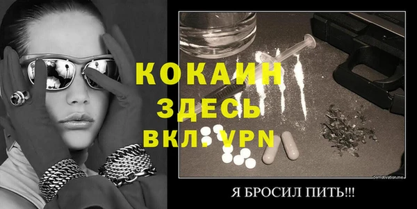 шишки Дмитриев