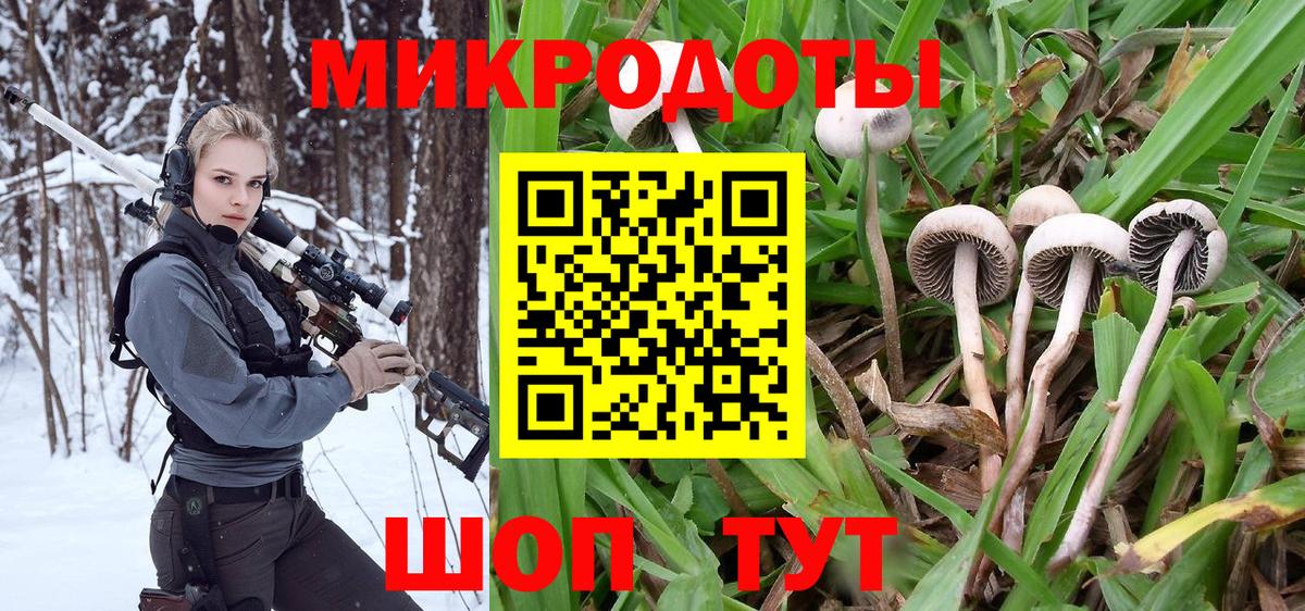 Галлюциногенные грибы мицелий  Псилоцибиновые грибы прущие грибы  как найти закладки  Вход с VPN  Донской 