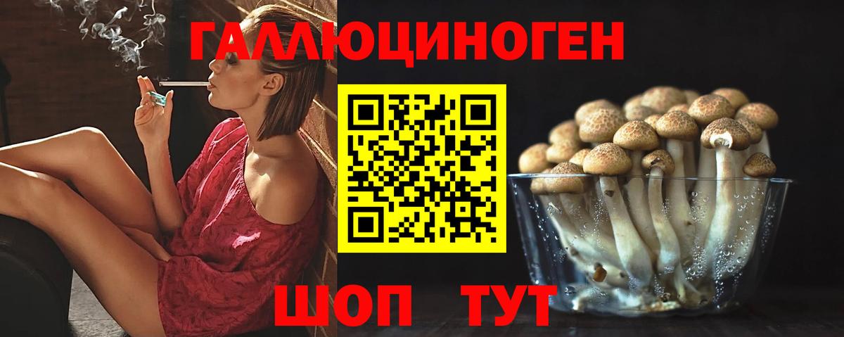 Галлюциногенные грибы Psilocybine cubensis Донской